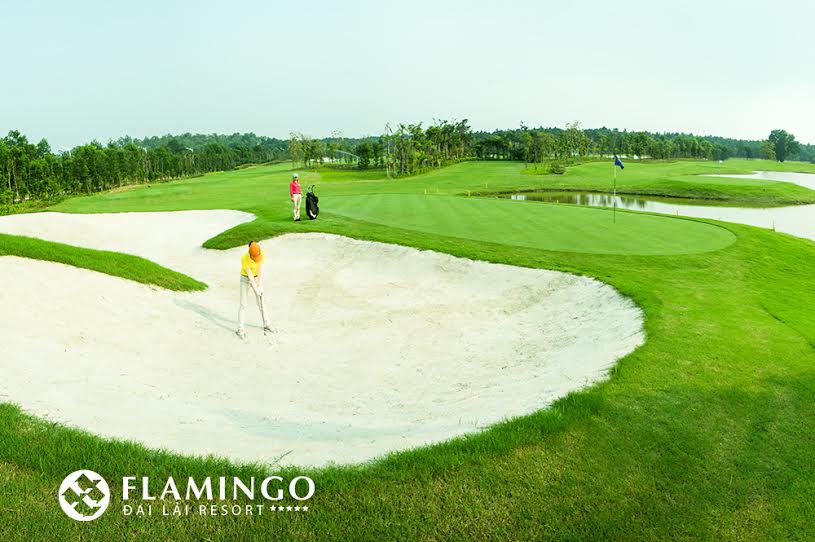 Sân Golf Đại Lải Flamingo - Địa chỉ, số điện thoại đặt sân, combo chơi golf