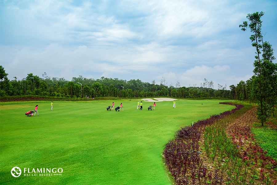 Sân Golf Đại Lải Flamingo - Địa chỉ, số điện thoại đặt sân, combo chơi golf